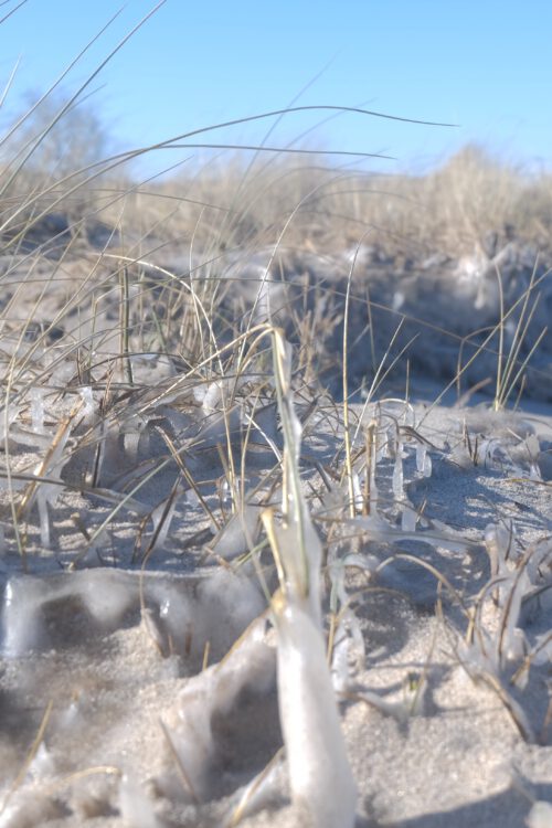 Sonne, Strand & Schokokuchen: mein „eisiges“ Sonntagsglück oder wo bleibt der Frühling???