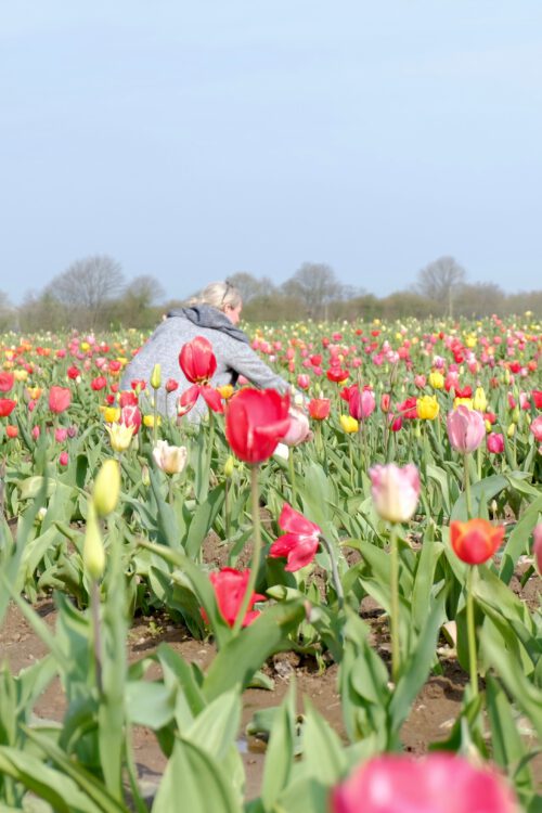 Birthdaygirl, Blumenmädchen,oder verkapptes Topmodel: meine 5 Fragen am fünften im Mai