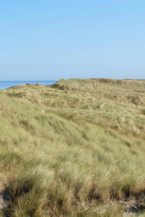 Sonntagsglück am Ellenbogen: ein Abstecher zum nördlichsten Punkt Deutschlands