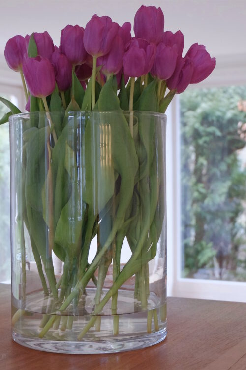 von Superpower & Sekundenkleber: meine fünf Fragen am Fünften im Februar