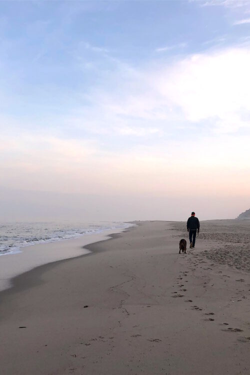 hallo 2020-ein paar Gedanken aus der Mitte des Lebens