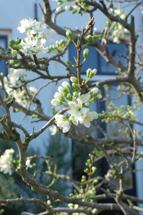 vom Mythos Multitasking, Zombiegelüsten & lebenslanger Freundschaft: meine fünf Fragen am Fünften im April