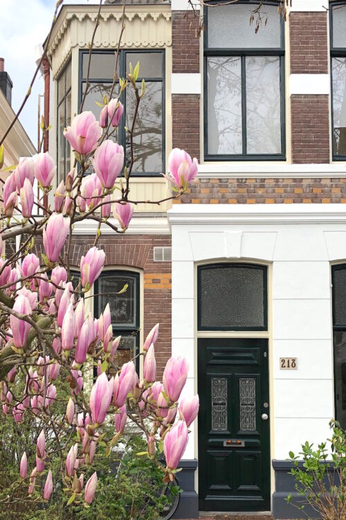 ein Tag in Holland – (m)ein  kleiner Nijmegen-Guide