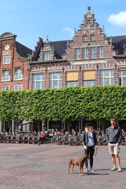 meine fünf Fragen am Fünften im Juni: die Holiday-Edition