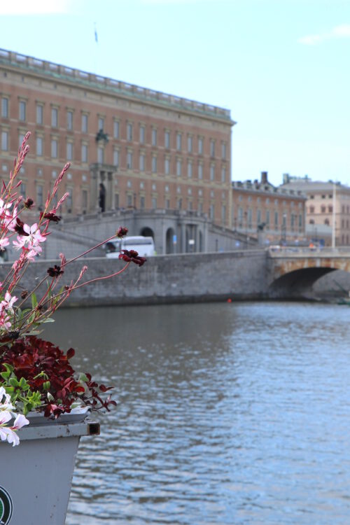 von Dummheit, chronischer Unpünktlichkeit & legendären Festen: meine fünf Fragen am Fünften im August