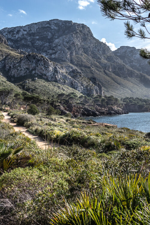 Wandern auf Mallorca: wunderschöne Küstenwanderung zur Cala Es Caló