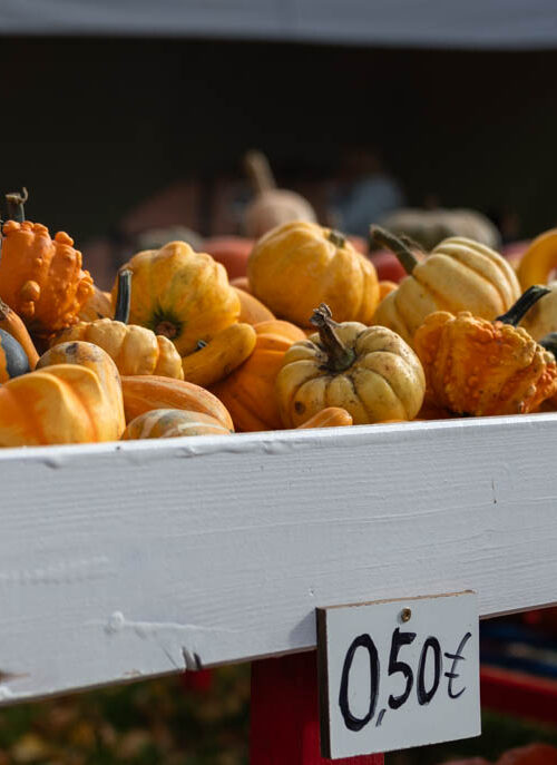 Genussvoll in den Oktober: Herbstmarkt im Freilichtmuseum